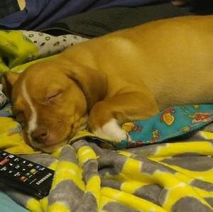 Meet your Posher, Nick